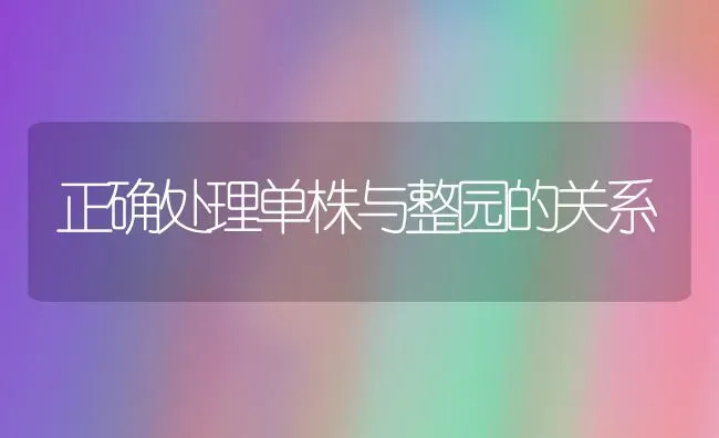 正确处理单株与整园的关系 | 养殖知识