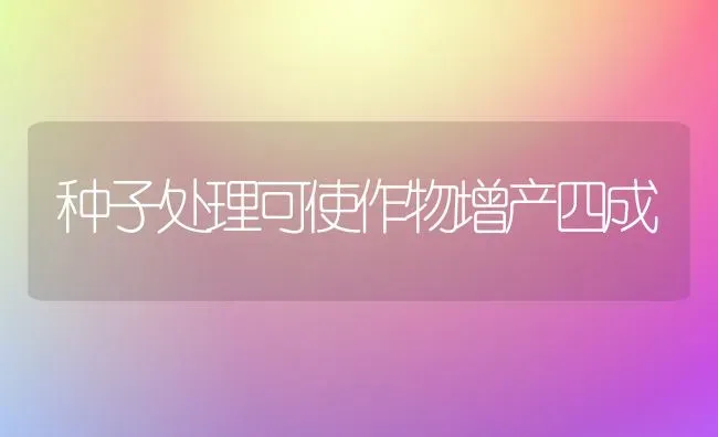 种子处理可使作物增产四成 | 养殖知识