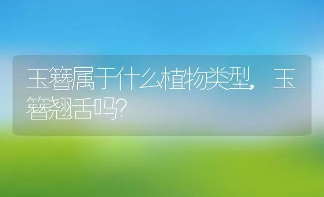 玉簪属于什么植物类型,玉簪翘舌吗？ | 养殖科普