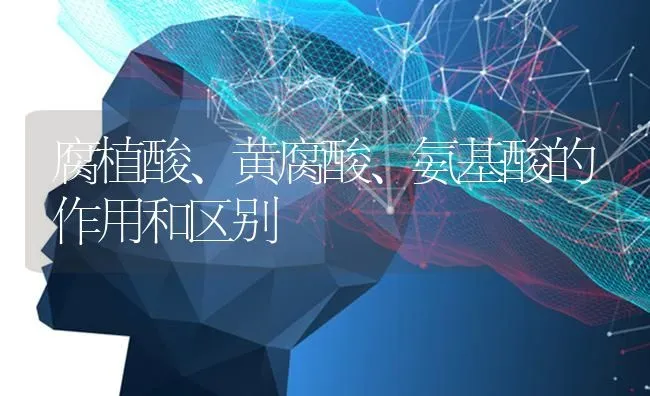 腐植酸、黄腐酸、氨基酸的作用和区别 | 养殖技术大全