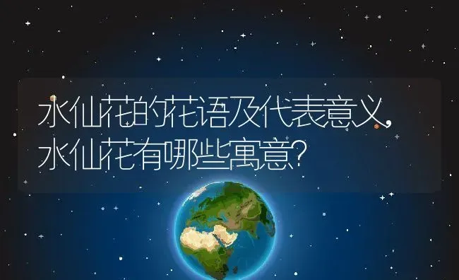 水仙花的花语及代表意义,水仙花有哪些寓意？ | 养殖科普