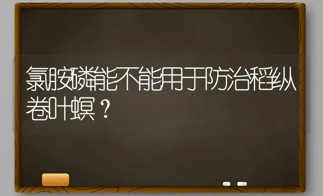 氯胺磷能不能用于防治稻纵卷叶螟? | 养殖知识