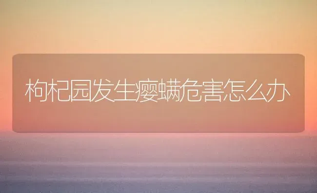枸杞园发生瘿螨危害怎么办 | 养殖技术大全