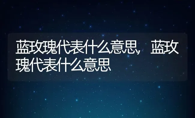 蓝玫瑰代表什么意思,蓝玫瑰代表什么意思 | 养殖科普