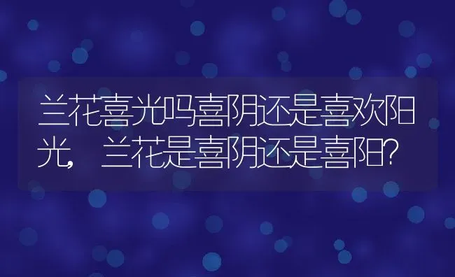 兰花喜光吗喜阴还是喜欢阳光,兰花是喜阴还是喜阳？ | 养殖科普