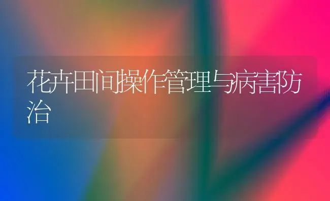 花卉田间操作管理与病害防治 | 养殖技术大全