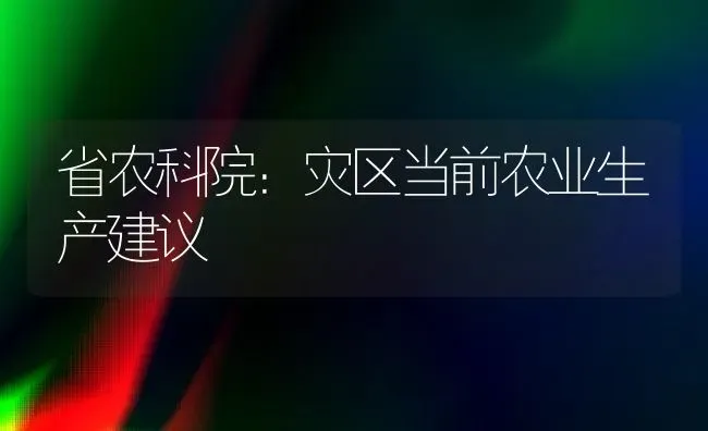 省农科院：灾区当前农业生产建议 | 养殖技术大全