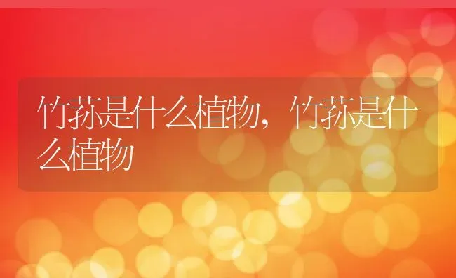 竹荪是什么植物,竹荪是什么植物 | 养殖科普