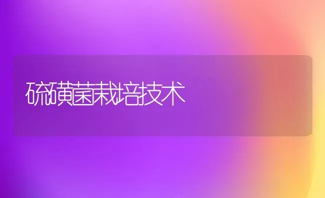 硫磺菌栽培技术 | 养殖知识