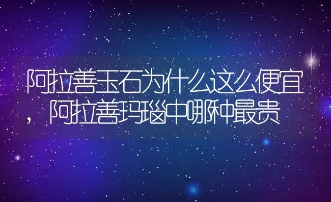 阿拉善玉石为什么这么便宜,阿拉善玛瑙中哪种最贵 | 养殖学堂