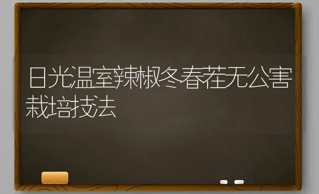 日光温室辣椒冬春茬无公害栽培技法 | 养殖知识