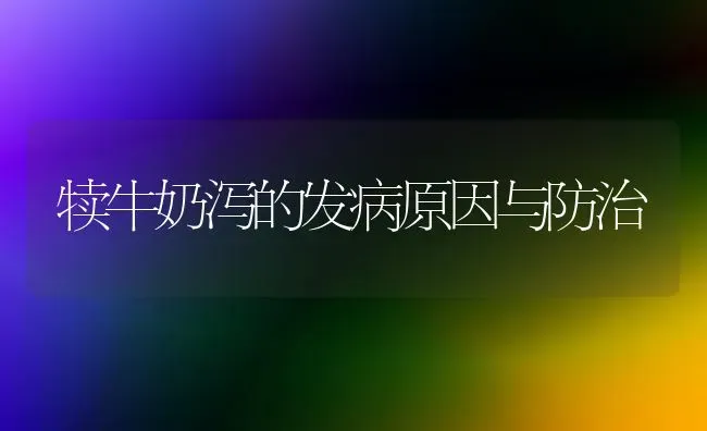 犊牛奶泻的发病原因与防治 | 养殖知识