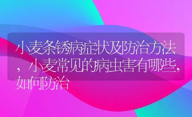 小麦条锈病症状及防治方法,小麦常见的病虫害有哪些，如何防治 | 养殖学堂