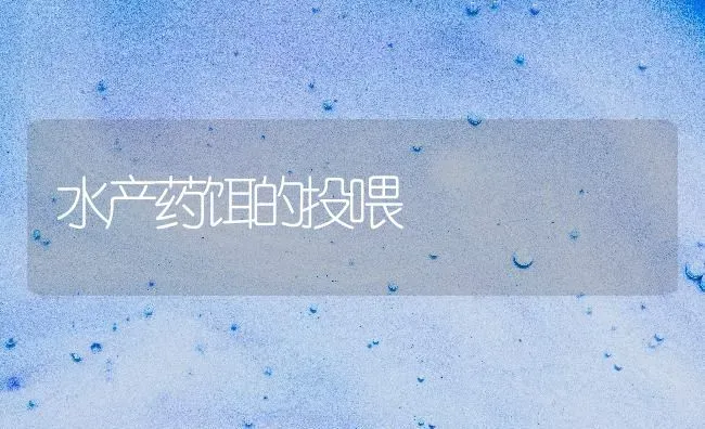 水产药饵的投喂 | 养殖知识