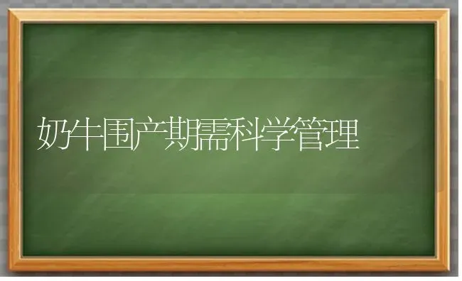 奶牛围产期需科学管理 | 养殖知识