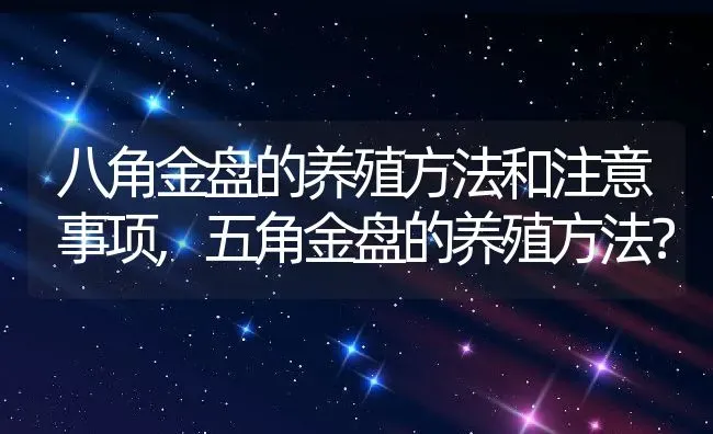 八角金盘的养殖方法和注意事项,五角金盘的养殖方法？ | 养殖科普