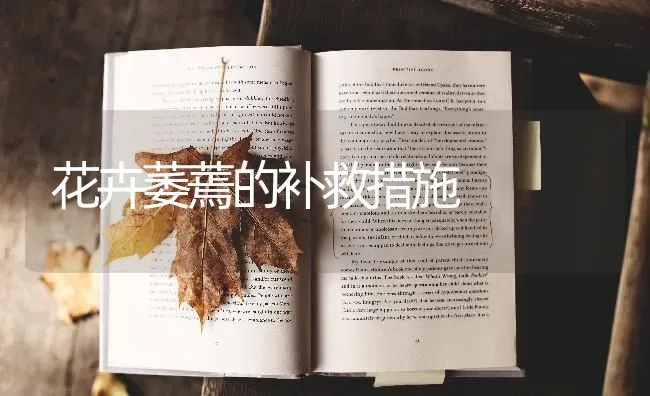 花卉萎蔫的补救措施 | 养殖技术大全