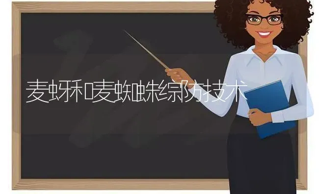 麦蚜和麦蜘蛛综防技术 | 养殖技术大全