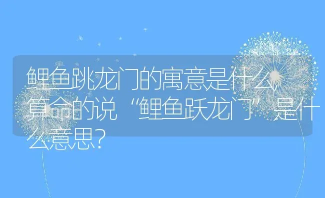 鲤鱼跳龙门的寓意是什么,算命的说“鲤鱼跃龙门”是什么意思？ | 养殖学堂