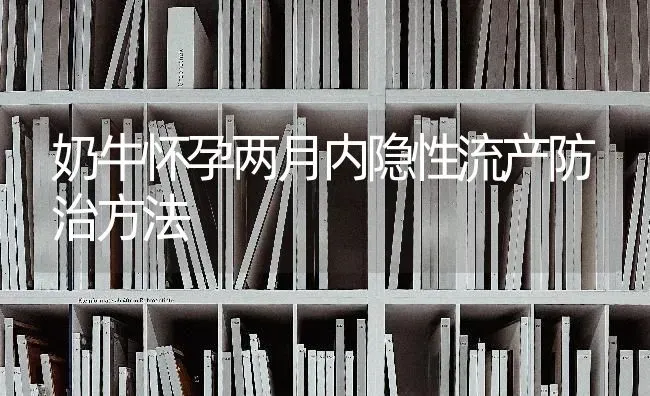 奶牛怀孕两月内隐性流产防治方法 | 养殖知识