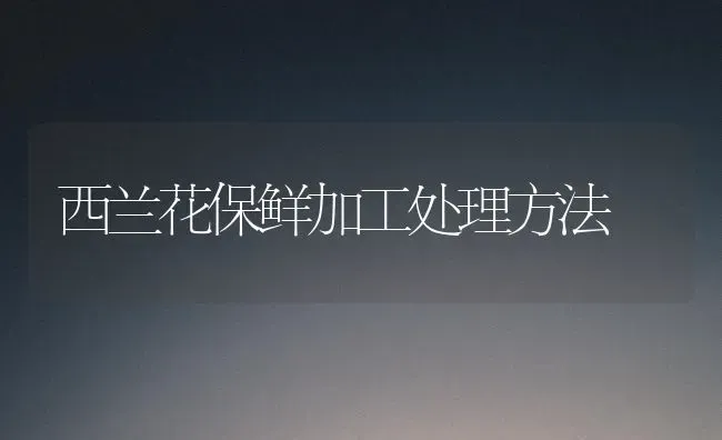 西兰花保鲜加工处理方法 | 养殖知识