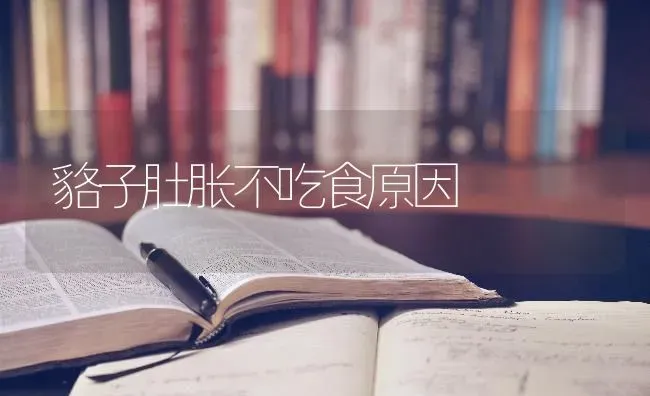 貉子肚胀不吃食原因 | 养殖技术大全