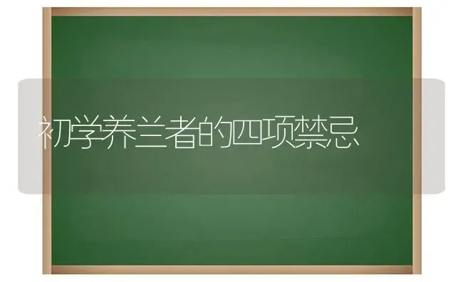 初学养兰者的四项禁忌 | 养殖知识