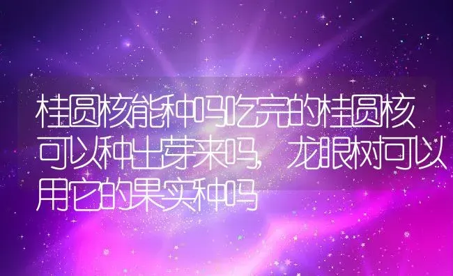 桂圆核能种吗吃完的桂圆核可以种出芽来吗,龙眼树可以用它的果实种吗 | 养殖学堂