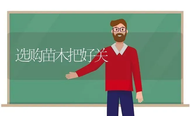 选购苗木把好关 | 养殖知识