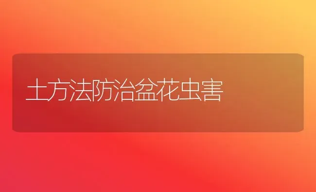 土方法防治盆花虫害 | 养殖技术大全