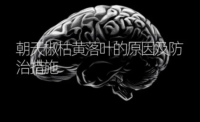 朝天椒枯黄落叶的原因及防治措施 | 养殖知识