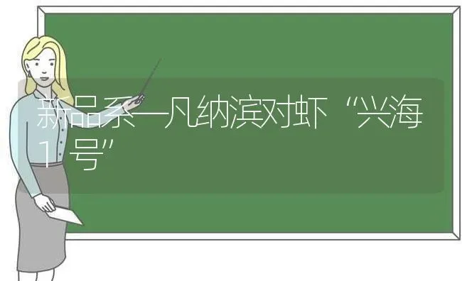 新品系—凡纳滨对虾“兴海1号” | 养殖技术大全