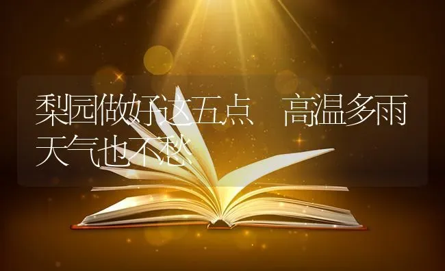 梨园做好这五点 高温多雨天气也不愁 | 养殖技术大全