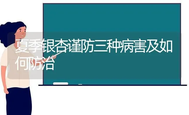 夏季银杏谨防三种病害及如何防治 | 养殖知识