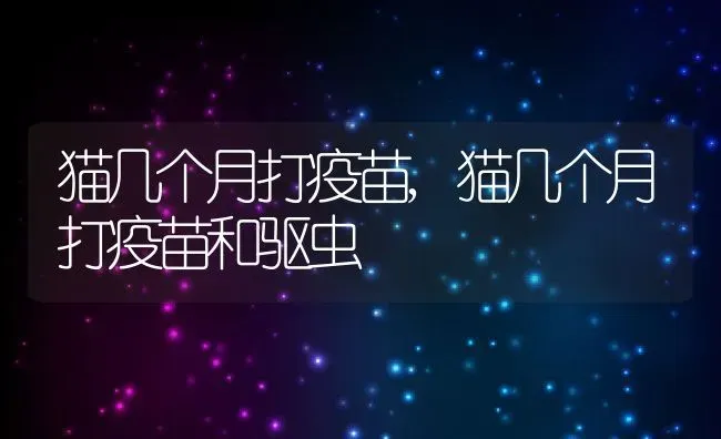 猫几个月打疫苗,猫几个月打疫苗和驱虫 | 养殖科普