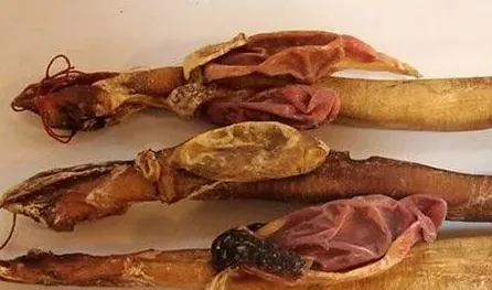 鹿鞭怎么食用？有什么功效 | 实用知识