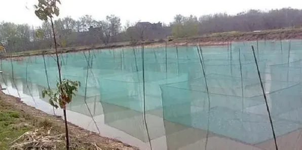 泥鳅的网箱养殖技术 | 农广天地