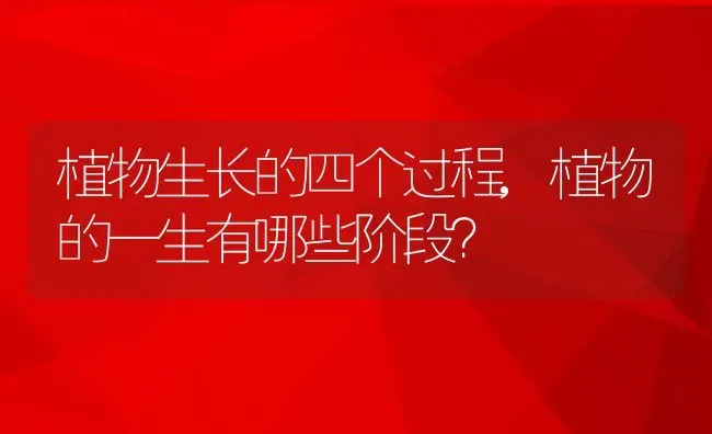 植物生长的四个过程,植物的一生有哪些阶段？ | 养殖科普