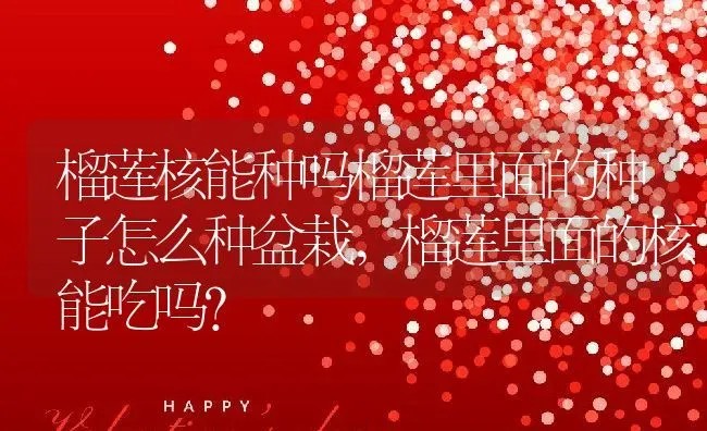 榴莲核能种吗榴莲里面的种子怎么种盆栽,榴莲里面的核能吃吗？ | 养殖科普