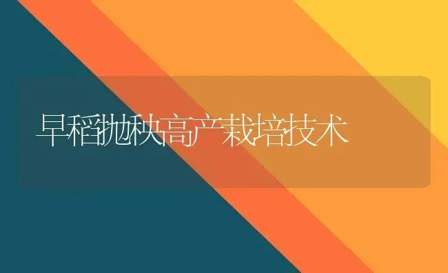 早稻抛秧高产栽培技术 | 养殖知识