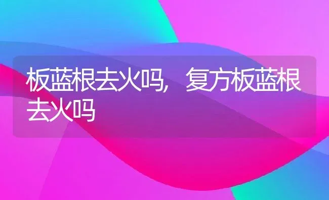 板蓝根去火吗,复方板蓝根去火吗 | 养殖资料