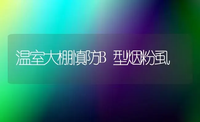 温室大棚慎防B型烟粉虱 | 养殖知识