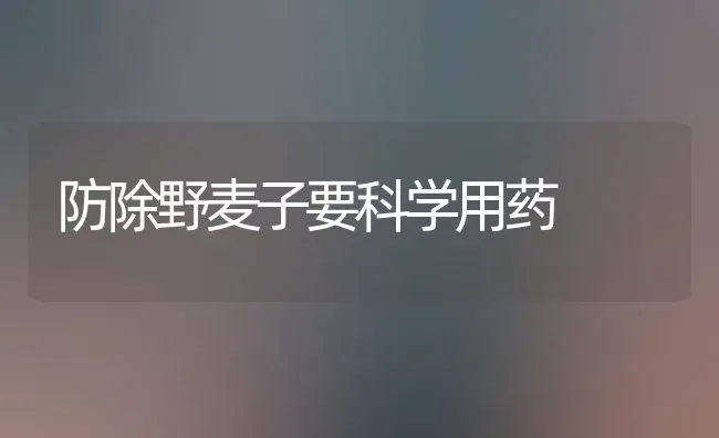 防除野麦子要科学用药 | 养殖技术大全