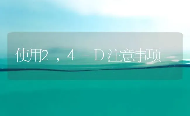 使用2,4-D注意事项 | 养殖知识