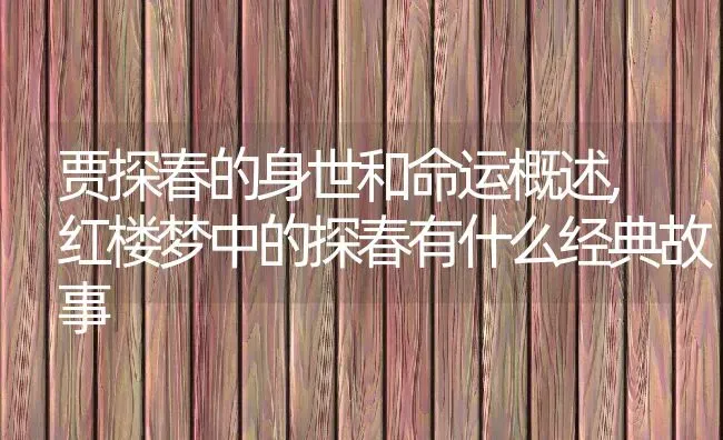 贾探春的身世和命运概述,红楼梦中的探春有什么经典故事 | 养殖学堂