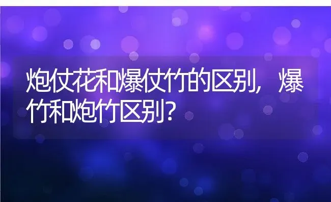 炮仗花和爆仗竹的区别,爆竹和炮竹区别？ | 养殖科普