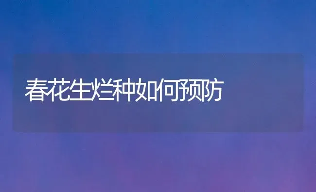 春花生烂种如何预防 | 养殖知识