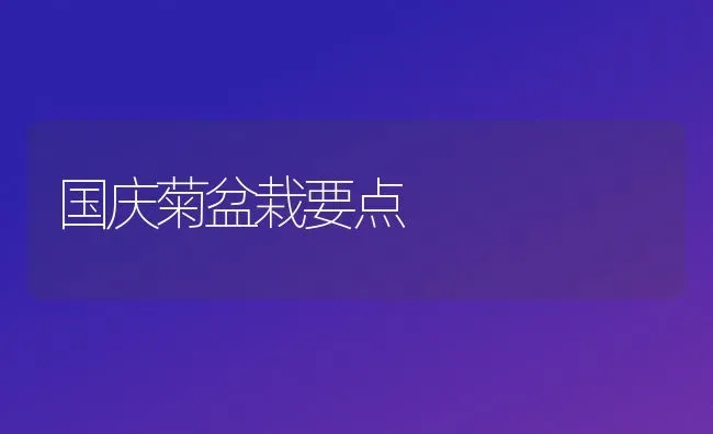 国庆菊盆栽要点 | 养殖技术大全