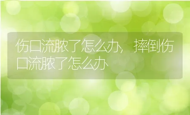 伤口流脓了怎么办,摔倒伤口流脓了怎么办 | 养殖科普