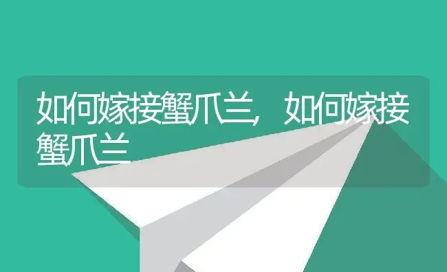 如何嫁接蟹爪兰,如何嫁接蟹爪兰 | 养殖科普